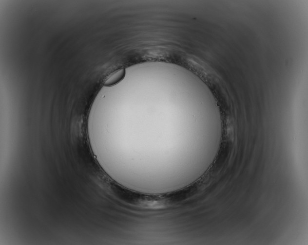 X0000086780514200705041531