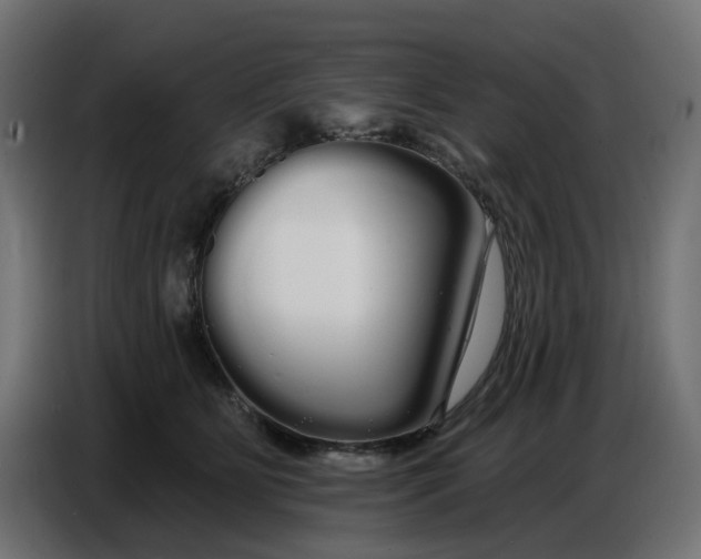 X0000086780515200705041531