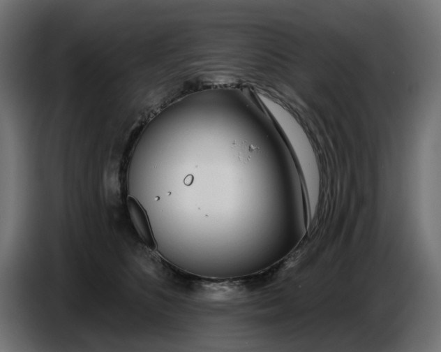 X0000086780516200705041530