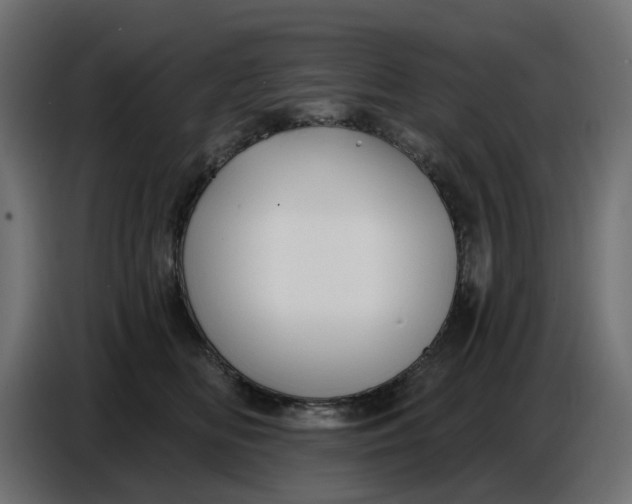 X0000086780518200705041530