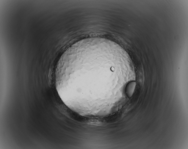 X0000086780519200705041530