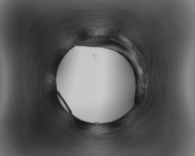 X0000086780521200705041530