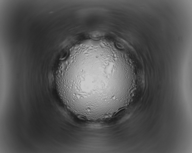 X0000086780523200705041530