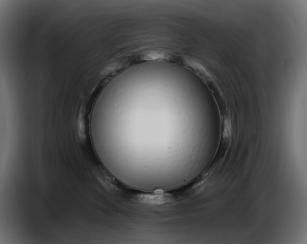 X0000086780524200705041530