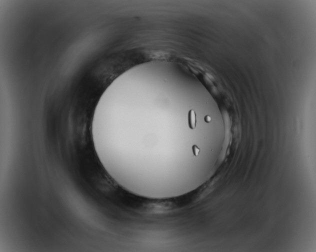 X0000086780525200705041530