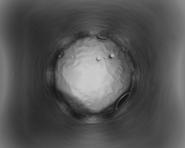 X0000086780527200705041530