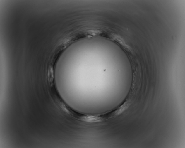 X0000086780528200705041530