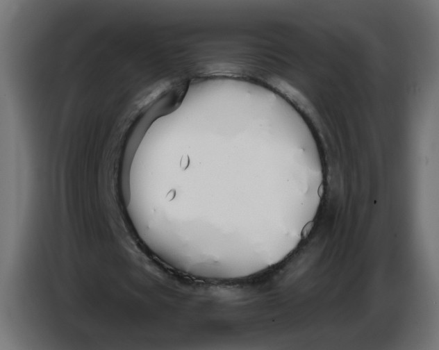 X0000086780529200705041530