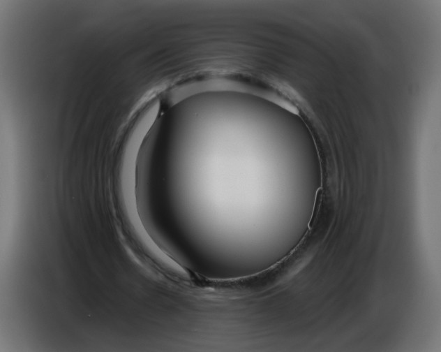 X0000086780530200705041530