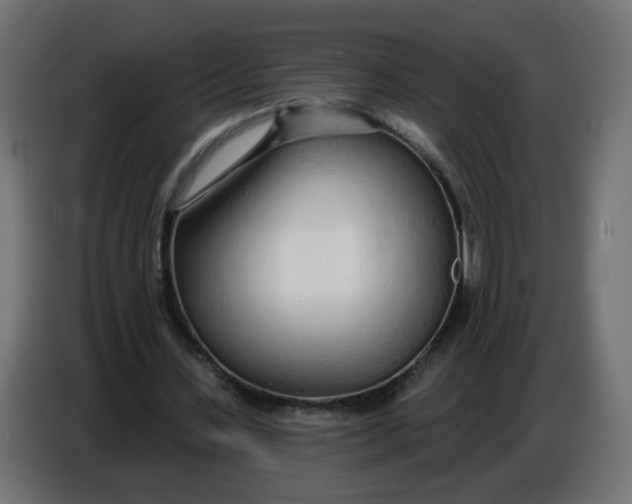 X0000086780531200705041530