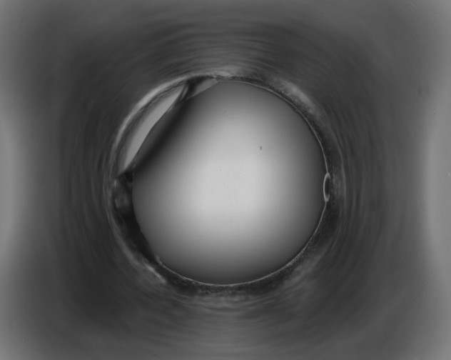 X0000086780532200705041530