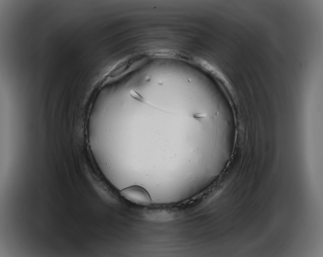 X0000086780533200705041530