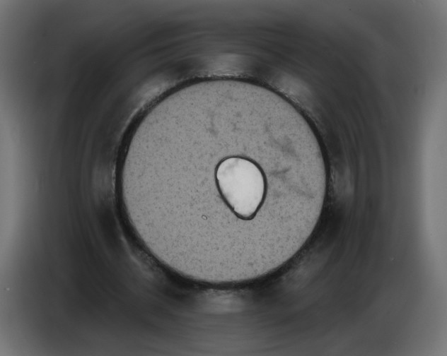 X0000086780534200705041530