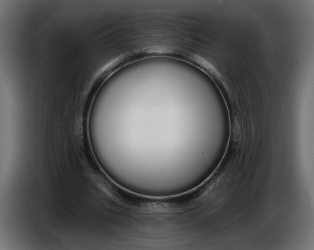 X0000086780535200705041530