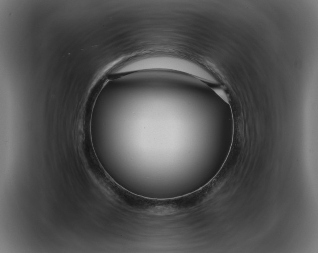 X0000086780536200705041530