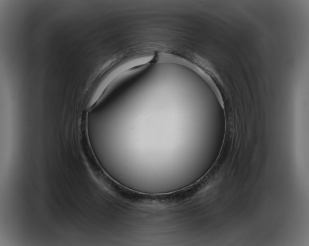 X0000086780538200705041530