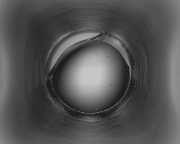 X0000086780540200705041530