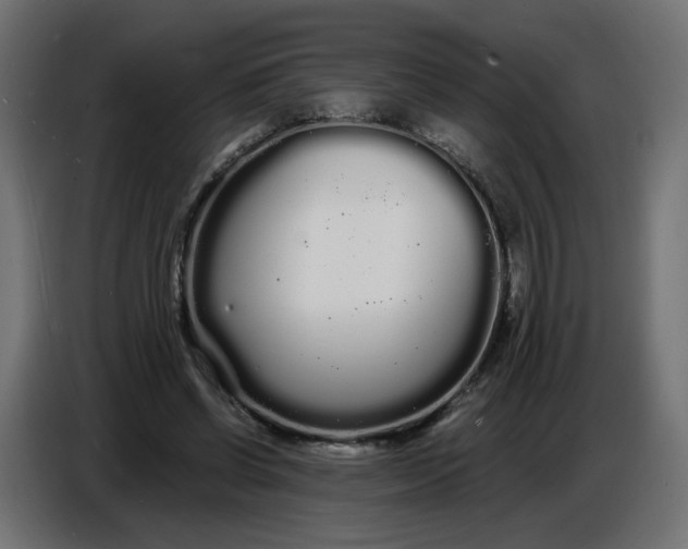 X0000086780542200705041530