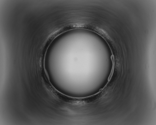 X0000086780543200705041530