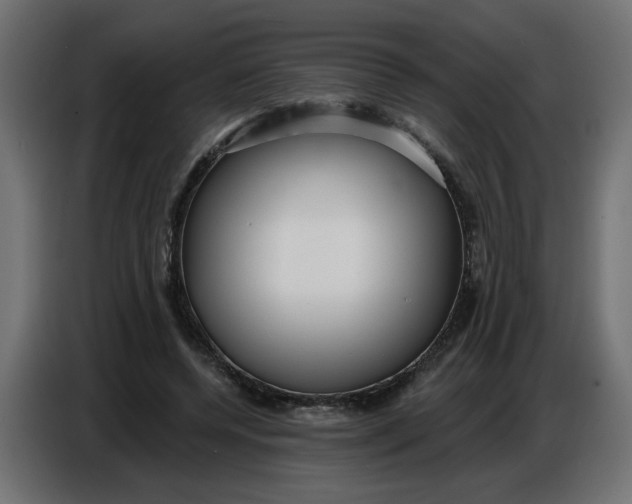 X0000086780544200705041530