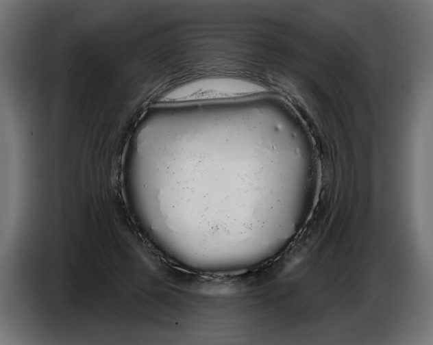 X0000086780545200705041530