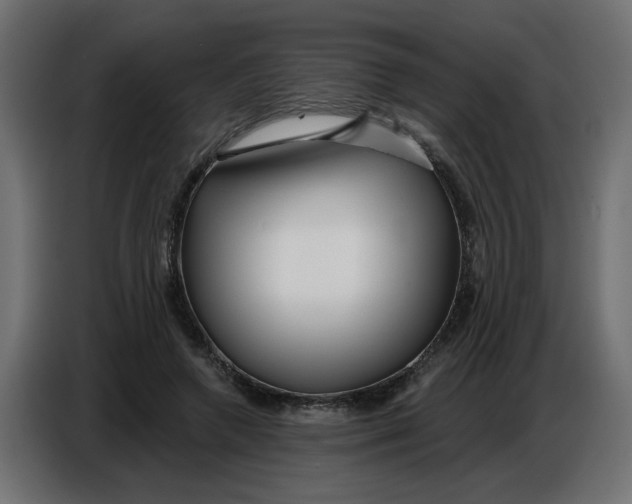 X0000086780546200705041530