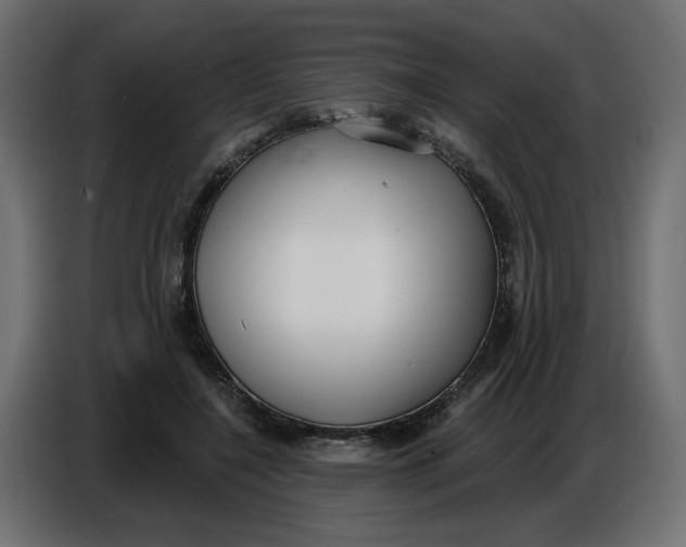 X0000086780548200705041530