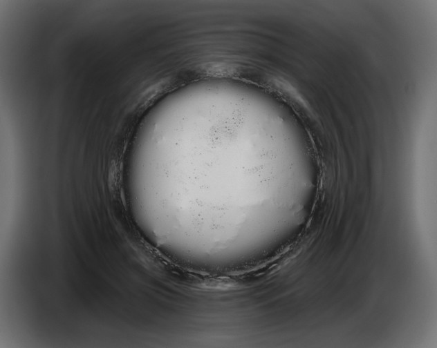 X0000086780549200705041530