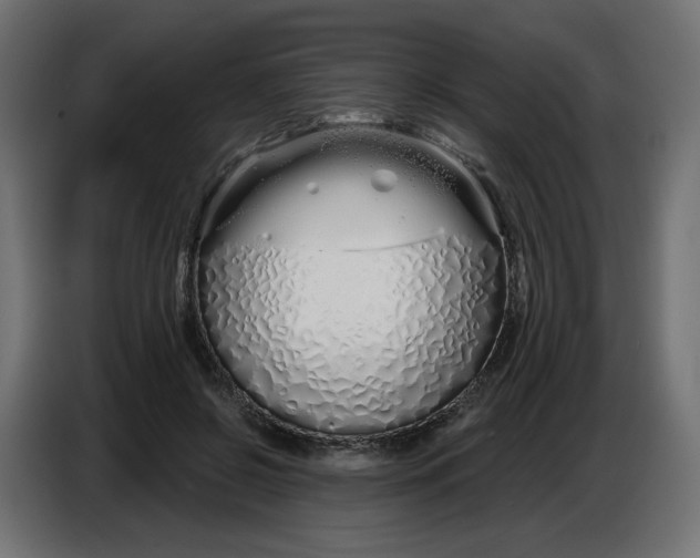 X0000086780550200705041530