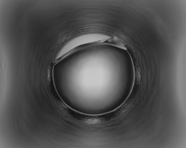 X0000086780551200705041530