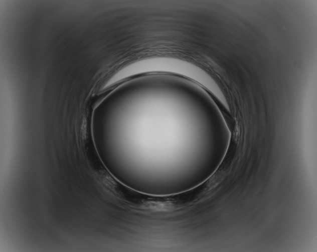 X0000086780552200705041530