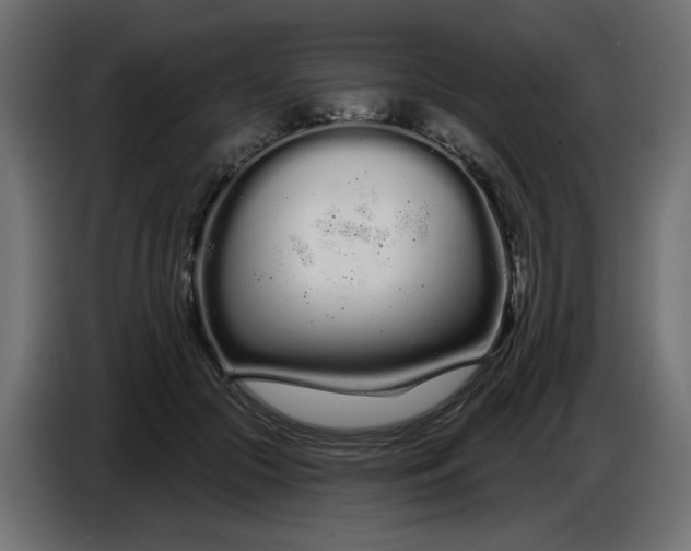 X0000086780553200705041530