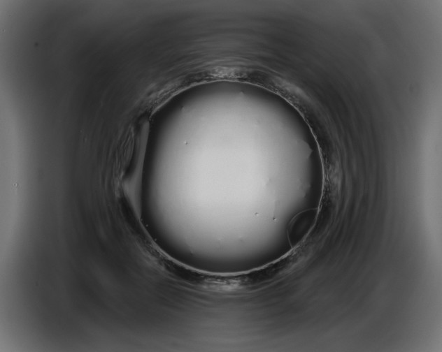 X0000086780554200705041530