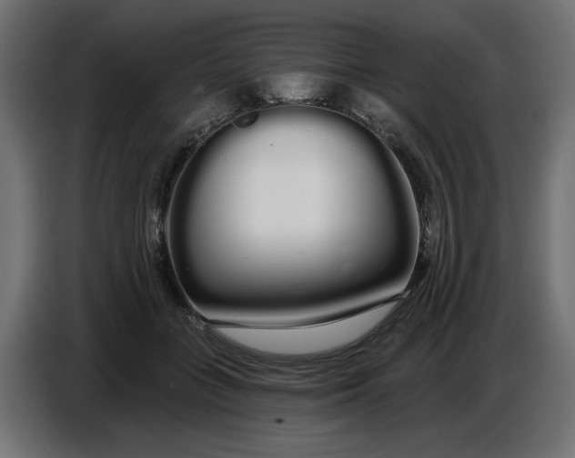 X0000086780555200705041530