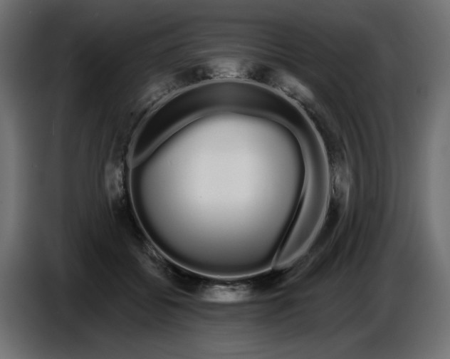 X0000086780556200705041530