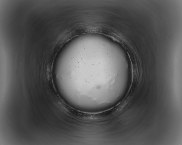 X0000086780557200705041530