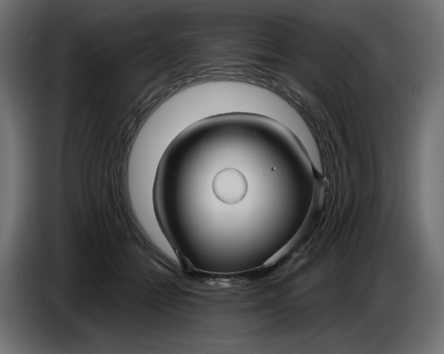 X0000086780558200705041530