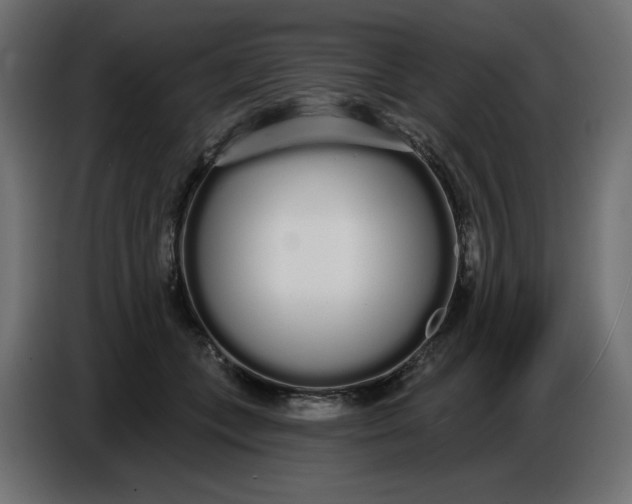 X0000086780559200705041530