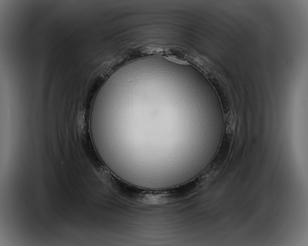 X0000086780560200705041530