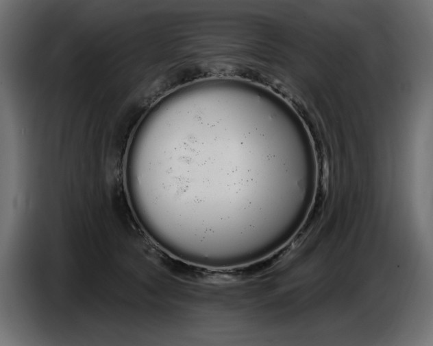 X0000086780561200705041530