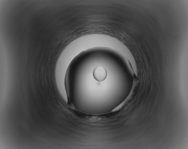 X0000086780562200705041530