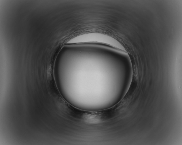 X0000086780563200705041530