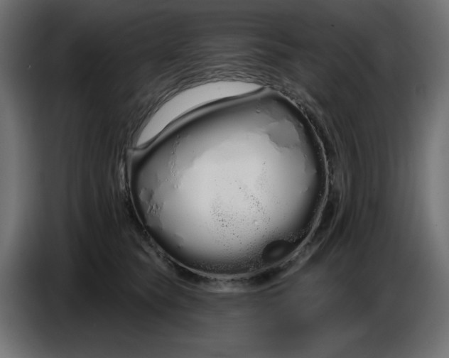 X0000086780565200705041530