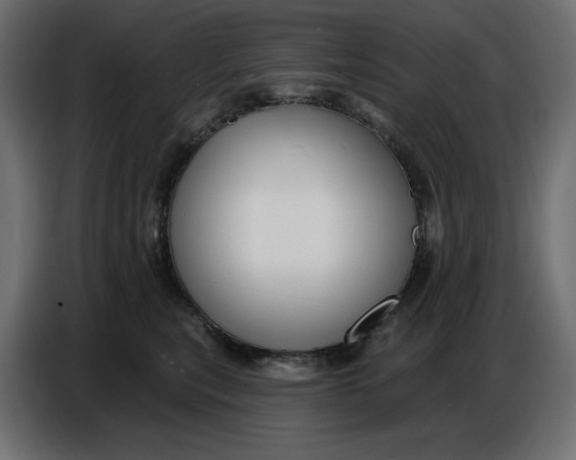 X0000086780567200705041530