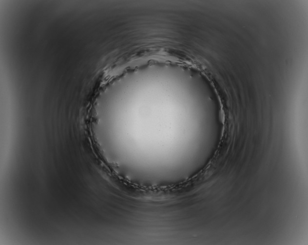 X0000086780568200705041530