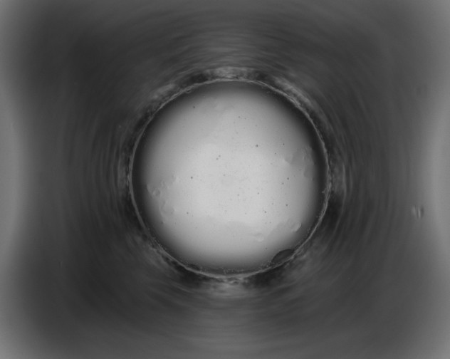 X0000086780569200705041530