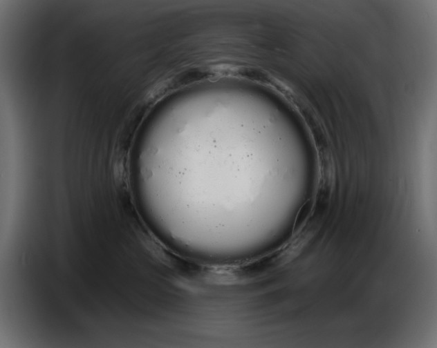 X0000086780573200705041530