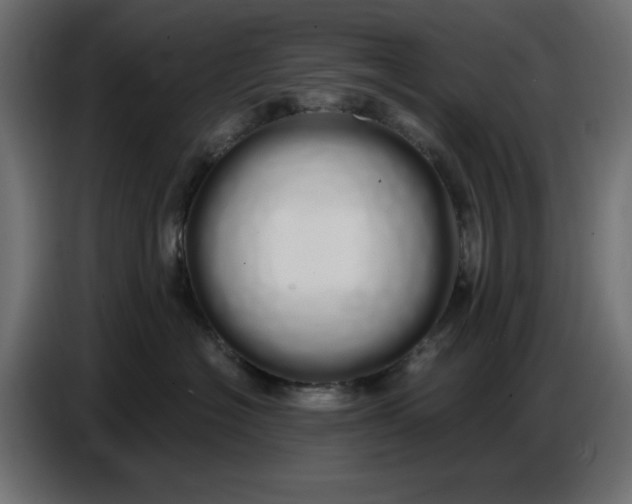 X0000086780574200705041530