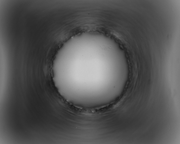 X0000086780576200705041530