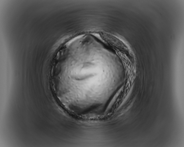 X0000086780577200705041530